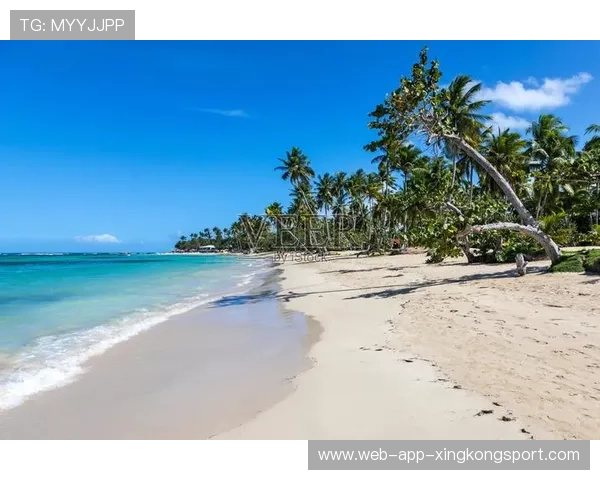 多米尼加建成全国性自行车道网络，多米尼加共和国新闻