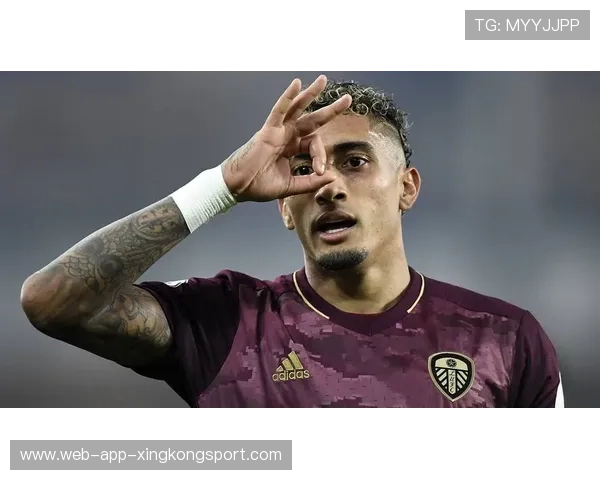 拉菲尼亚落选引发数据对比热议